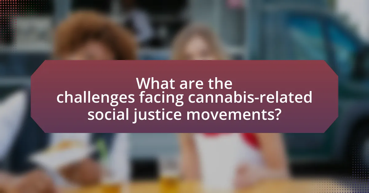 What are the challenges facing cannabis-related social justice movements?