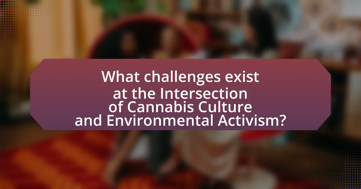 What challenges exist at the Intersection of Cannabis Culture and Environmental Activism?